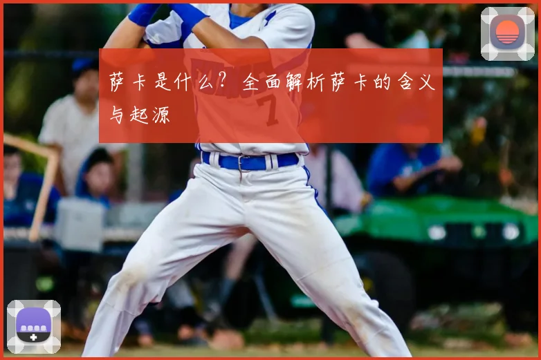 萨卡是什么？全面解析萨卡的含义与起源