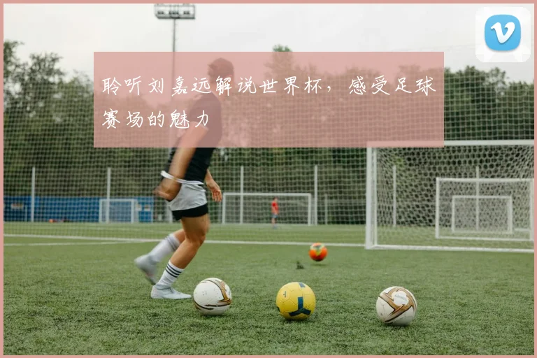 聆听刘嘉远解说世界杯，感受足球赛场的魅力