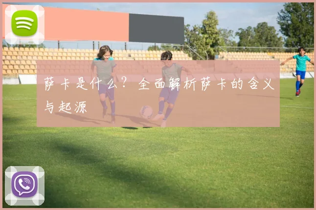 萨卡是什么?全面解析萨卡的含义与起源