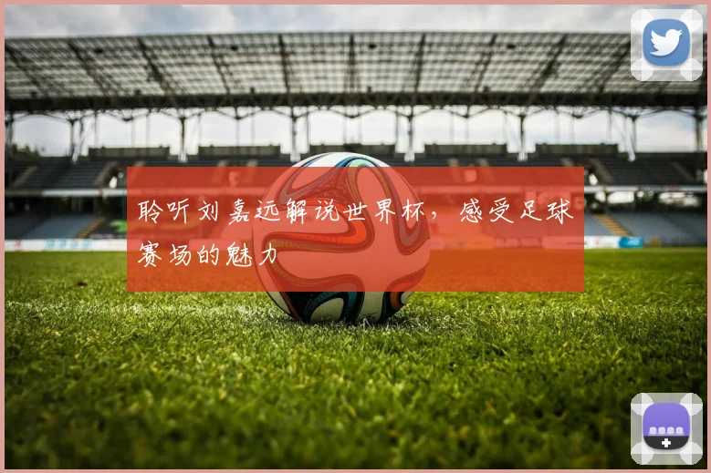 聆听刘嘉远解说世界杯，感受足球赛场的魅力